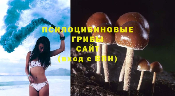 дурь Нязепетровск