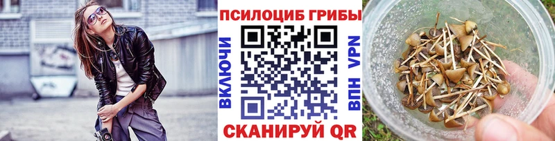 Галлюциногенные грибы прущие грибы  закладка  Питкяранта 